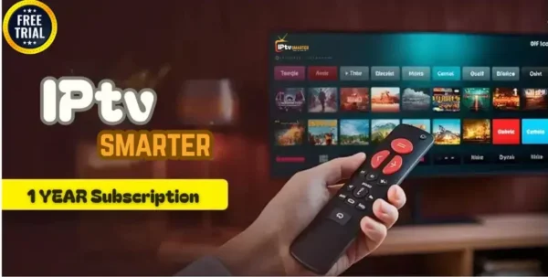 12-months subscription